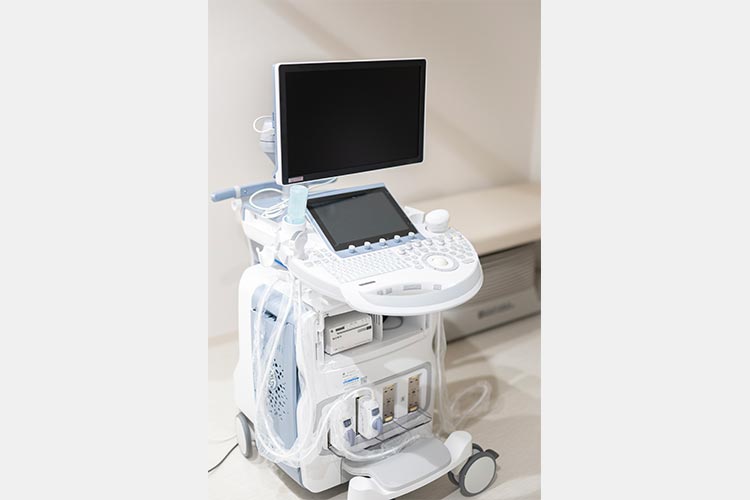 超音波画像診断装置 Voluson E10